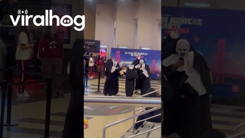 Nuns Night Out for Conjuring 2 || ViralHog