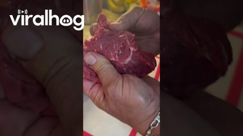 Butcher Calls Out Fake Beef || ViralHog
