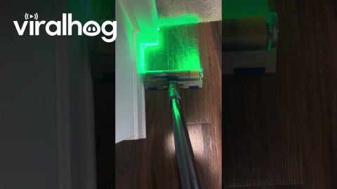 Dyson Vacuum Cleaner || ViralHog