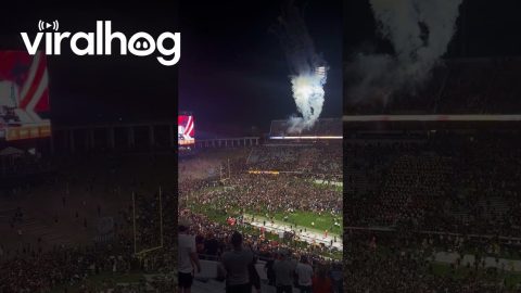 UVA Rushing the Field Against FSU || ViralHog