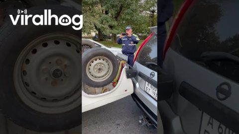 Making My Way Downtown, Upside Down || ViralHog