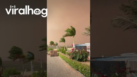 Sandstorm in São Paulo || ViralHog