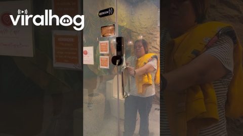 Cafe With a Transparent Restroom || ViralHog
