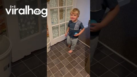 Kid Unexpectedly Catches Ball || ViralHog