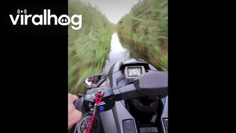 Jet Skiing Through a Marsh at Sunset || ViralHog