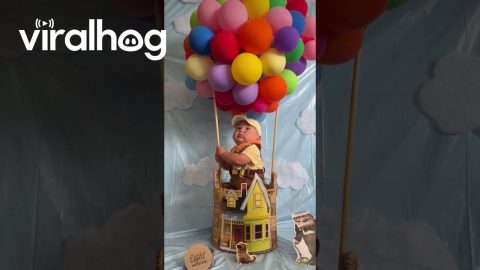 Baby Dressed as Russell from Up || ViralHog