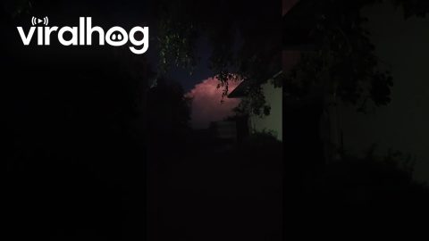 Lightning Flashes Within Giant Cloud Column || ViralHog