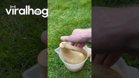 Garden Plant Waterer With Handle || ViralHog