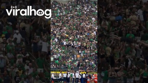 Notre Dame Fans Do Touchdown Pushups || ViralHog