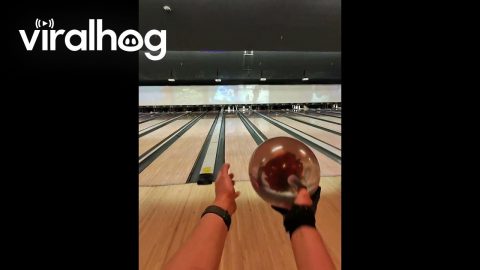 Bowling Pin Comes Back || ViralHog