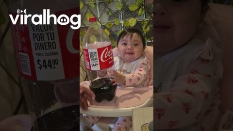 Only Cola Will Do || ViralHog