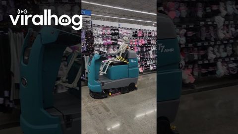 Skeleton Working for Walmart || ViralHog