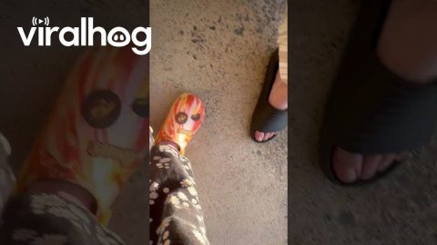 Mom’s Fart Ruins Kid’s Butterfly Moment || ViralHog