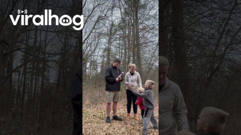 Sweet Family Announces Two New Baby Girls || ViralHog