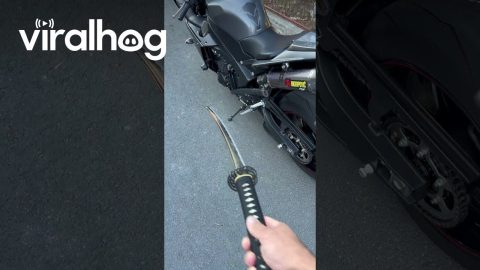 Yamaha R1 with Katana sword || ViralHog