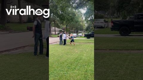 A Homecoming Proposal Fit for a Queen || ViralHog