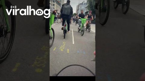 Tube Strikes In London Lead Commuters To Bicycle || ViralHog