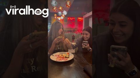 Birthday Girl's Friend Steals the First Bite || ViralHog