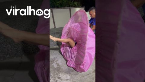 On the Night Before Her Quinceanera || ViralHog