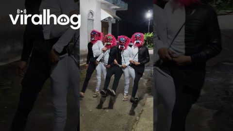 Crazy Tandem Carnival Costume || ViralHog