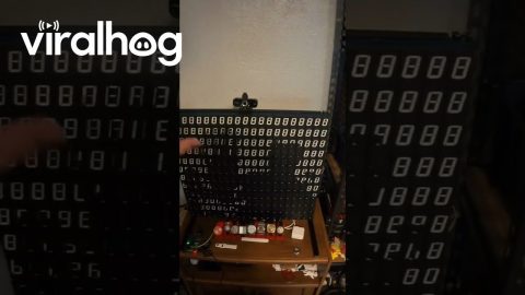 Mechanical Digit Mirror || ViralHog