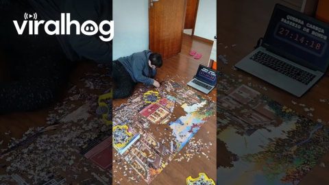 Timelapse Assembly of 5.000 Piece Puzzle || ViralHog