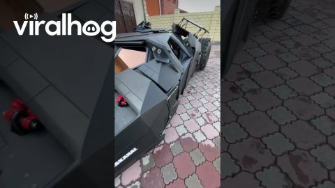 Choosing Between A Regular Car Or A Batmobile || ViralHog