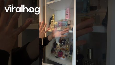POV: Your Perfume Tray Decides to Give Up || ViralHog