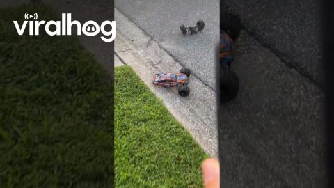 RC Car Falls Short Of Truck Bed Jump || ViralHog