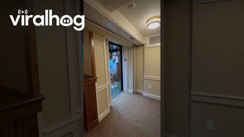 Two-Step Elevator Ride || ViralHog