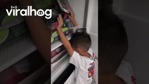 Mom Walks in on Son’s Fridge Struggle || ViralHog