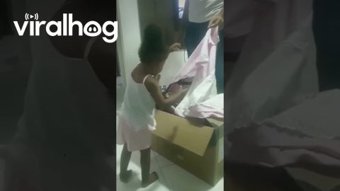 Daughter Chooses Cardboard Box Over Motorcycle || ViralHog