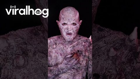 Count Dracula Transformation || ViralHog