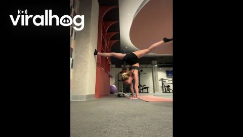 Man Falls Into Woman's Gym Video || ViralHog