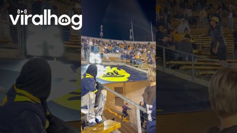 Cal vs Duke Field Goal Ball Stolen || ViralHog