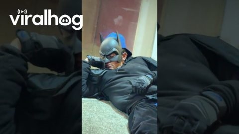 Guardian of the Night Takes a Nap || ViralHog
