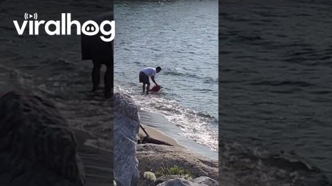 Man Helps His Dog Play Fetch at the Beach || ViralHog