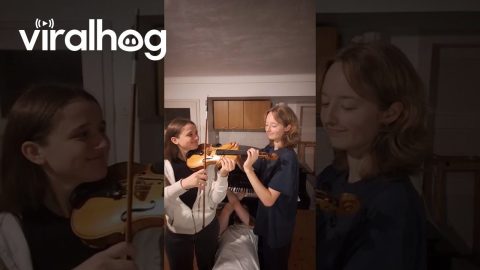 2 Girls Play 1 Violin While A Guy Plays Piano Laying on His Back || ViralHog