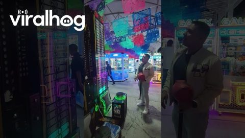 High Expectations for Hammer Game || ViralHog