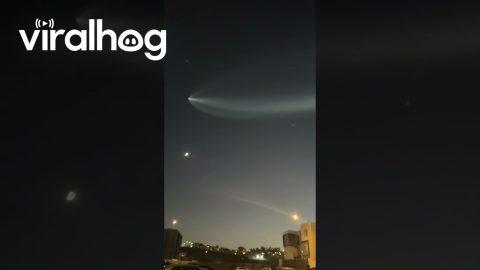 SpaceX Rocket Soars Over Tijuana || ViralHog