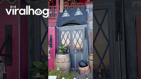 The Ultimate Harry Potter Halloween House || ViralHog