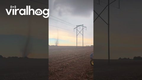 Dimmitt Texas Tornadoes || ViralHog