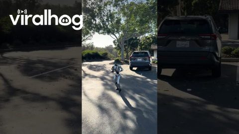 Robot Doing a Cartwheel || ViralHog