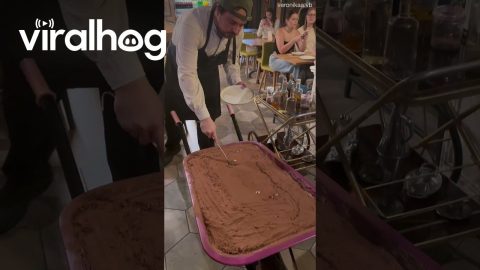 Wheelbarrow Of Tiramisu || ViralHog