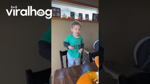 Learning What's Inside A Pumpkin || ViralHog