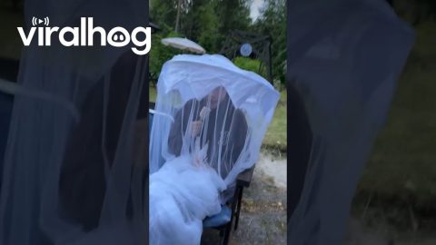 Diva Protected From The Outdoors || ViralHog