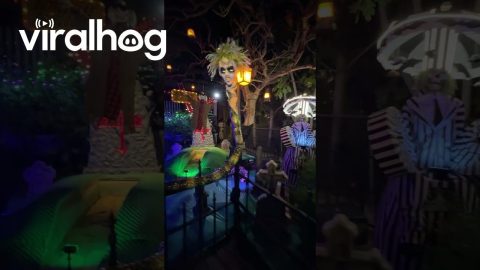 Beetlejuice-Themed Halloween House || ViralHog