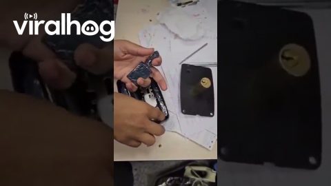 Gold Bars Worth $269,275 Found Hidden Inside Iron Lock || ViralHog
