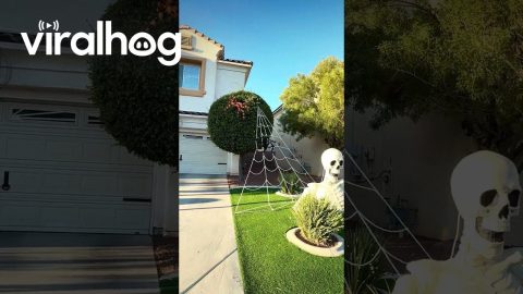 The Spookiest House on the Block || ViralHog