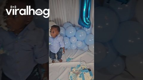 Younger Brother Smashes Cake || ViralHog